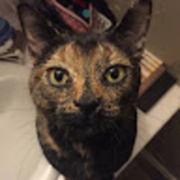 Meet your Posher, Tawnya - Picture 1 of 1